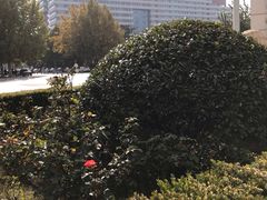 -山东大学(千佛山校区)