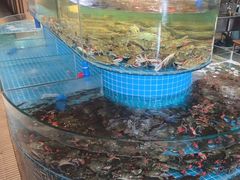 -蓝珊甄选海鲜自助·火锅大排档(近阿那亚店)
