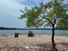 -东湖落雁景区