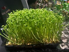 -湊湊火锅·茶憩(南京东路悦荟店)