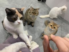 -极木²邸 人与宠物·互动社区
