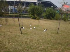 -杭州师范大学(下沙校区)