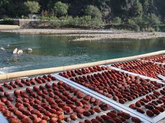 -楠溪江风景名胜区