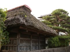 -名古屋城