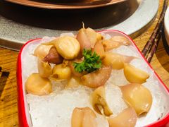 -额尔敦草原涮羊肉·烧烤(冻青树总店)