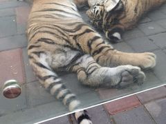 -北京野生动物园