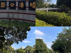 -晓港公园