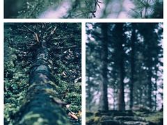 -硗碛藏寨·神木垒景区