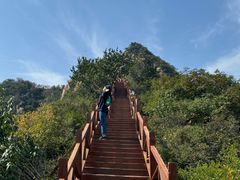 -大岭沟猕猴桃谷风景区