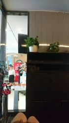 点击看大图 -京世沙龙