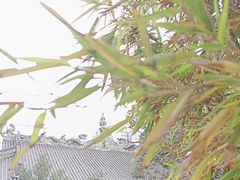 -古大圣慈寺