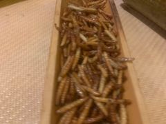 炸竹虫-火咂咂竹筒宴(告庄店)