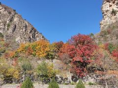 -北京上方山国家森林公园