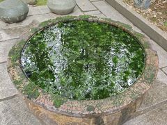 -宣和苑(华侨新村店)