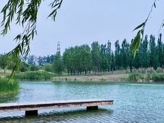 -马家湾湿地公园