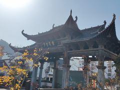 -婺源梦里老家大型山水实景演出