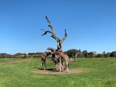 -威勒比开放式动物园