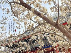 -北京艺术博物馆(万寿寺)