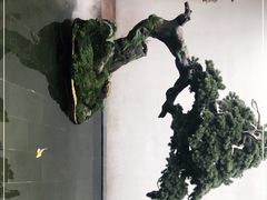 -觀芷隐轩