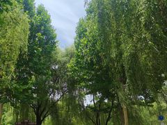 -滨湖塘西河公园