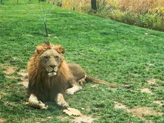 -北京野生动物园