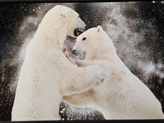 -罗红摄影艺术馆