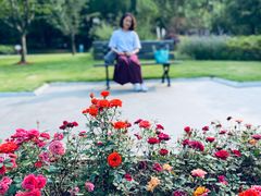 -徐家汇源景区-衡山公园