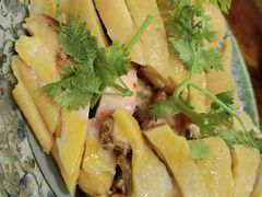 -九斤黄三黄鸡专卖店