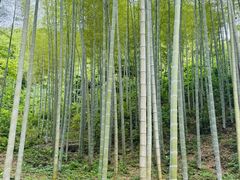 -黄公望隐居地