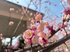 -阿哈湖国家湿地公园
