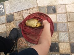 -酷鱼垂钓CLUB(朝阳区博大路店 )