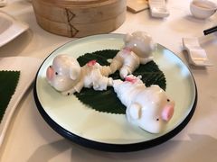 -金汇酒楼(中山东区店)