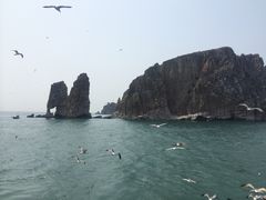 景点-长岛万鸟岛