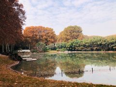 -河南省黄河迎宾馆