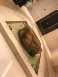 -青岛香格里拉·氣水疗中心