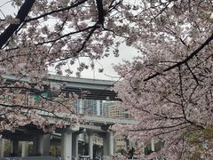 -南浦大桥长途旅游客运站