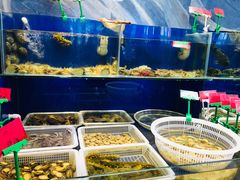 水产区-喜乐餐厅•灯笼虾球首创者•本地小海鲜(二马路店)