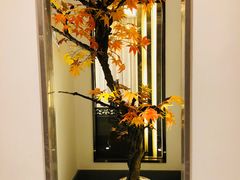 -小天鹅火锅·一线江景洪鼎旗舰店(洪崖洞店)