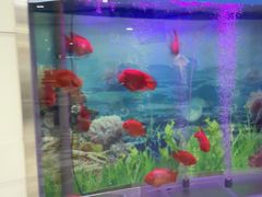 -雅悦齿科(顾村公园店)