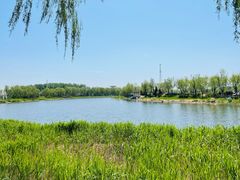 -亲兄弟真人CS团建拓展基地