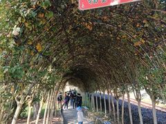 -武汉紫薇都市田园