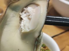 -77号渔船·蒸海鲜青岛菜(积米崖店)