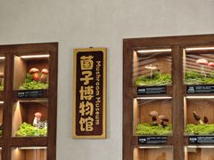 -菌自由丨野生菌火锅特色庭院餐厅(丽江古城店)