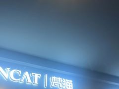 -梵猫·新养生(湛江鼎盛店)
