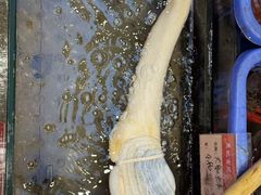 -吴记富苑(朝阳店)