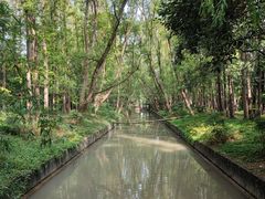 -上海滨江森林公园