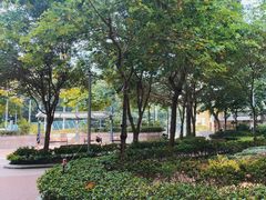 -香港佐治五世纪念公园