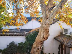 -鲤院·新中式美学·庭院餐厅(夫子庙店)