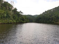 -泰康山生态旅游度假区
