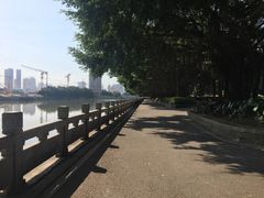 -光明港公园